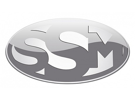 Start Scale Models (SSM)